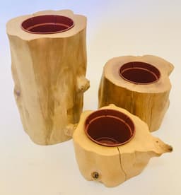 Vaso para Suculentas e Cactos