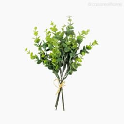 Buquê Eucalyptus com Rafia Verde