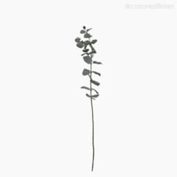 Galho Decorativo Eucalyptus Azul