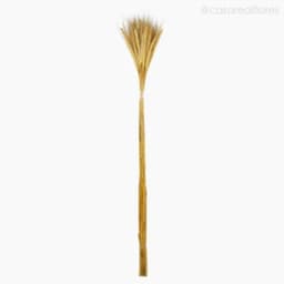 Galho Decorativo Trigo Bege