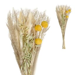 Galho Decorativo Seco Amarelo e Verde