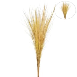 Capim Decorativo Barba de Bode Bege