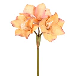 Haste Decorativa Amarilis Mostarda