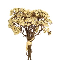 Ramelhete Decorativo Gypso X3 Creme