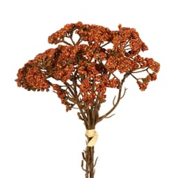 Ramelhete Decorativo Gypso X3 Laranja
