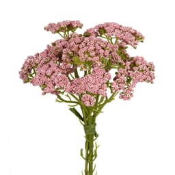 Ramelhete Decorativo Gypso X3 Rosa