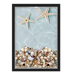 Quadro Caixa Porta Conchas Praia Estrelas