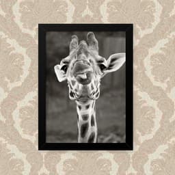 Quadro Girafa Lingua 33X43cm
