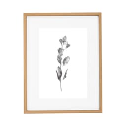 Quadro Decorativo Botanic II Marrom e Branco
