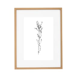 Quadro Decorativo Botanic III Marrom e Branco