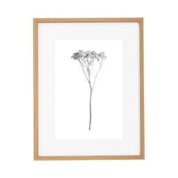 Quadro Decorativo Botanic IV Marrom e Branco