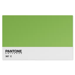 Jogo Americano Nerderia Pantone Verde