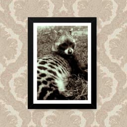 Quadro Animal 23X33cm