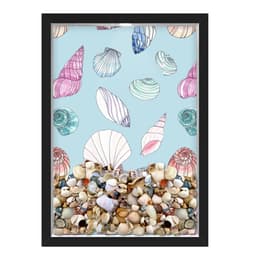 Quadro Caixa Porta Conchas Praia Desenhos