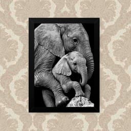 Quadro Elefante Familia 23X33cm