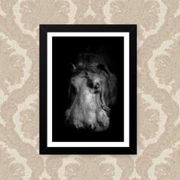 Quadro Hipopotamo 23X33cm