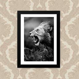 Quadro Leao Feroz 33X43cm