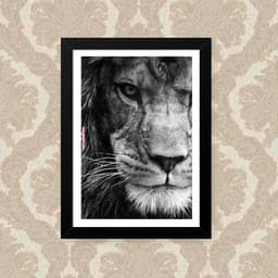 Quadro Leao Foco 23X33cm