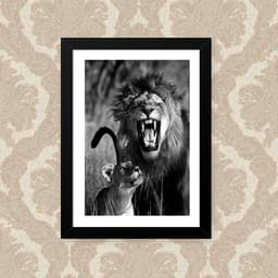Quadro Leao Leoa 33X43cm