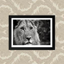 Quadro Lio Black White 23X33cm