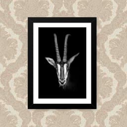 Quadro P&amp;Amp;B Animal 33X43cm
