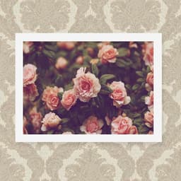 Quadro Rosas 33X43cm