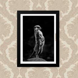 Quadro Suricate Pose 23X33cm