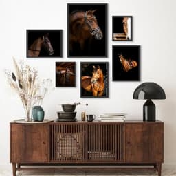 Kit 6 Quadros Fotografias Cavalos