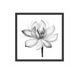 Quadro Decorativo com Moldura Amar Preto