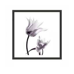 Quadro Decorativo com Moldura Orq Preto