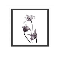 Quadro Decorativo com Moldura Rosas Preto
