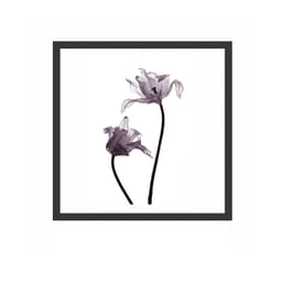 Quadro Decorativo com Moldura Silver Preto