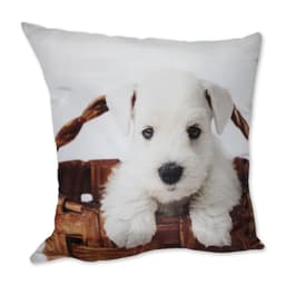 Almofada Cachorro Cesto Branco 42x42cm Uniart