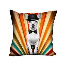 Almofada Valverde Cachorro Retrô 42x42cm