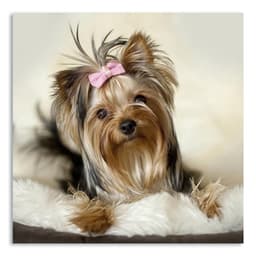 Quadro Cachorro III Uniart Marrom 30x30cm