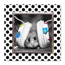 Quadro Hamster Uniart Preto & Branco 30x30cm