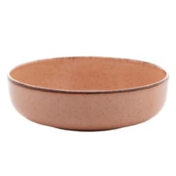 Conjunto de Bowls Reactive Salmão 23 cm