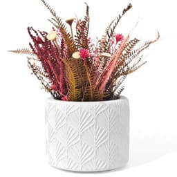 Vaso Estados Artesanal Decorativo 10cm Amazonas em Cimento - Branco