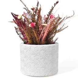 Vaso Estados Artesanal Decorativo 10cm Bahia em Cimento - Branco