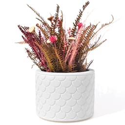 Vaso Estados Artesanal Decorativo 10cm São Paulo em Cimento - Branco