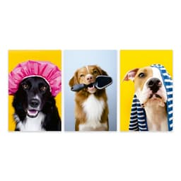 Kit 3 Quadros Decorativos Petshop Cachorros Banho Placas Mdf