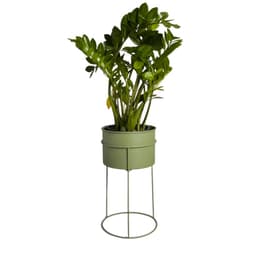 Suporte de Plantas com vaso Humaitá Cor:Verde Oliva