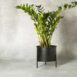 Suporte de Plantas com vaso Slim Humaitá Cor:Branco