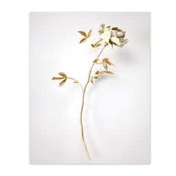 Quadro Decorativo Floral Fotografico Dourado, Tela em Canvas na Vertical ideal para ambiente de Sala de estar, jantar, reuniões, Quarto e Hall de entrada (100x70 cm)