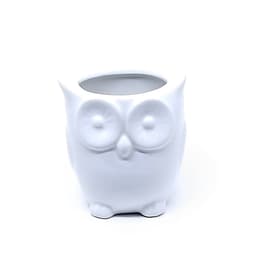 Vasinho Cachepot de Cerâmica Modelo Coruja para Decoração