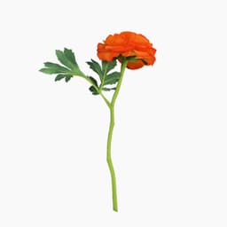 Flor Artificial Ranúnculo Laranja