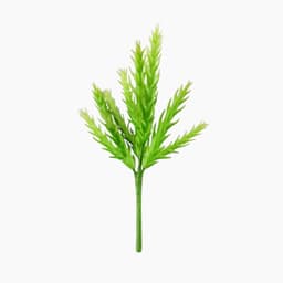 Folha Artificial Suculenta Verde