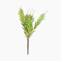 Folhas Artificiais Suculenta Verde e Marrom