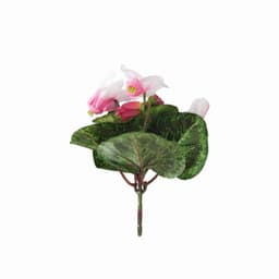 Mini Cyclamen Artificial Rosa