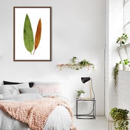 Quadro Botânica Acrostichum Brevipes 43x30 Caixa Marrom